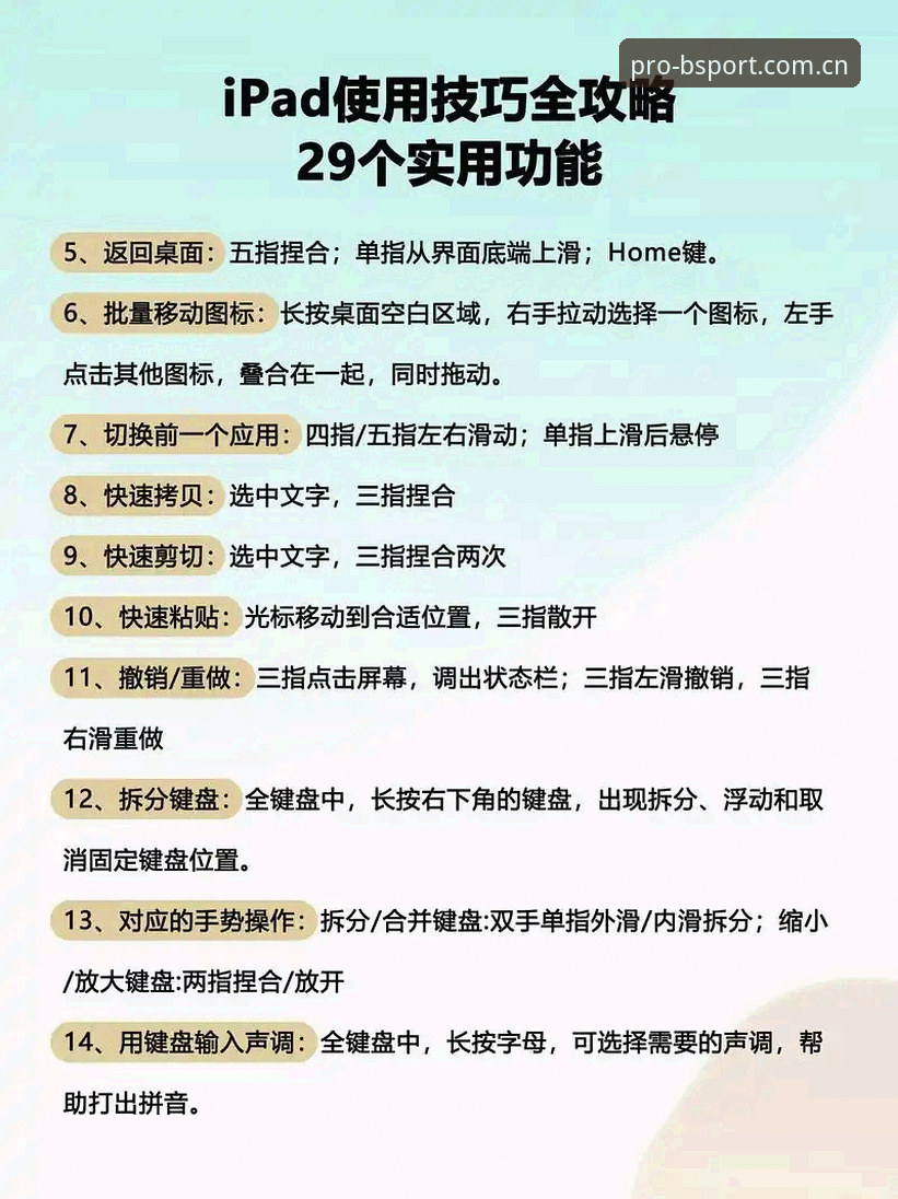 资深用户分享：BSPORT使用教程对比与实战心得，7X3K体育登录指南创新体验