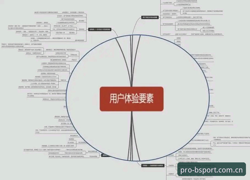 BSPORT版本更新功能详解实用指南——从v3.2.0看专业体育平台如何提升用户体验